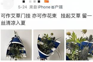 难顶啊！不敌残残阵灰熊！老里执教雄鹿10场战绩是3胜7负